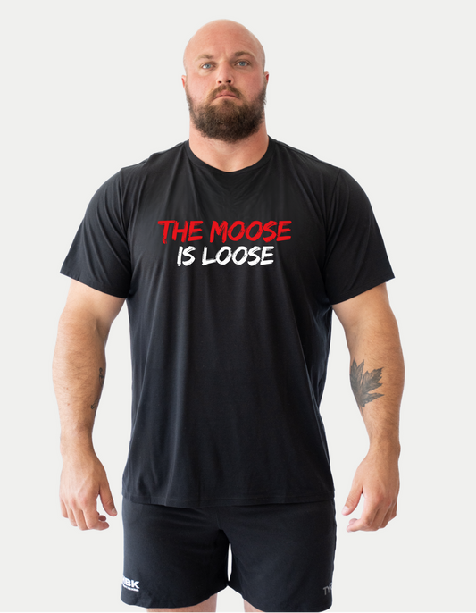 The Moose is Loose